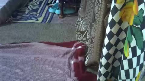 Snapshot of teabody1 chatting on March 8, 2026, 8:12 pm teabody1 online show from March 8, 2026, 8:12 pm