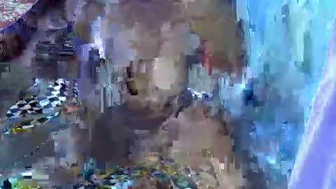 Snapshot of teabody1 chatting on March 23, 2026, 6:45 pm teabody1 online show from March 23, 2026, 6:45 pm