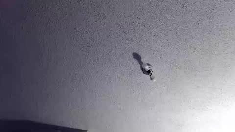 Snapshot of technosex14 chatting on November 20, 2025, 3:28 am technosex14 online show from November 20, 2025, 3:28 am