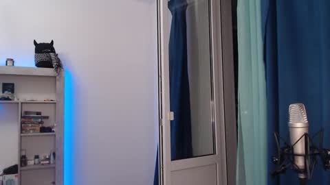 Teddy online show from December 18, 2024, 6:57 pm