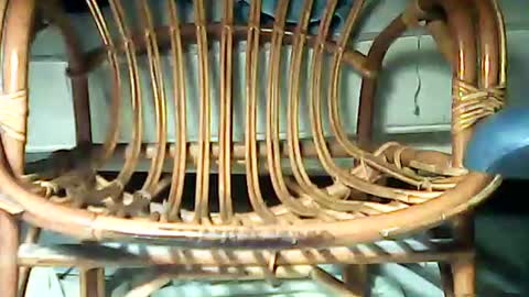 telecommandedu26 online show from February 7, 2025, 11:23 am