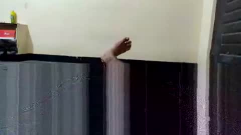 telugu_dick_hyd online show from November 4, 2025, 10:53 pm