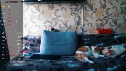 Ada  online show from December 19, 2025, 9:38 am