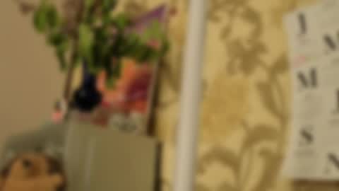 Snapshot of tender__ada chatting on May 2, 2026, 9:14 am Ada online show from May 2, 2026, 9:14 am