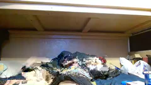 terdy2366 online show from October 23, 2025, 6:02 am