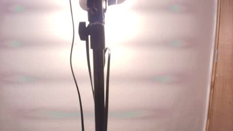 Terra Elowen online show from February 25, 2026, 11:31 am