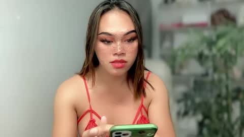 TERRI  the girl will hunt you online show from December 12, 2024, 1:43 am