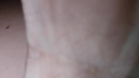 teslaxplaid online show from December 14, 2024, 2:56 am