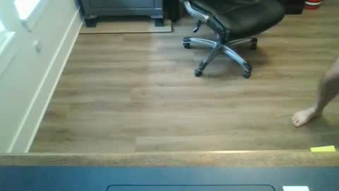 tfm138 online show from May 12, 2026, 4:04 pm