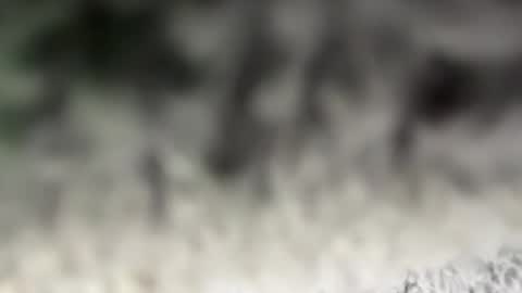 Snapshot of thankyoudaddy1 chatting on March 15, 2026, 7:36 am thankyoudaddy1 online show from March 15, 2026, 7:36 am