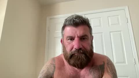 Snapshot of thatguybearded chatting on January 21, 2025, 11:02 pm ThatGuyBearded online show from January 21, 2025, 11:02 pm