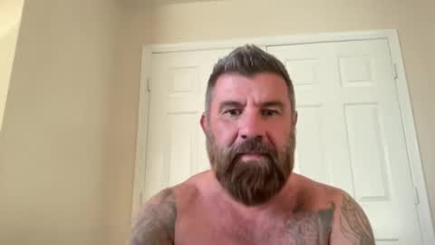 Snapshot of thatguybearded chatting on January 31, 2025, 11:45 pm ThatGuyBearded online show from January 31, 2025, 11:45 pm