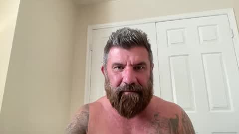 Snapshot of thatguybearded chatting on February 10, 2025, 9:04 pm ThatGuyBearded online show from February 10, 2025, 9:04 pm