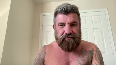 Snapshot of thatguybearded chatting on February 11, 2025, 11:12 pm ThatGuyBearded online show from February 11, 2025, 11:12 pm