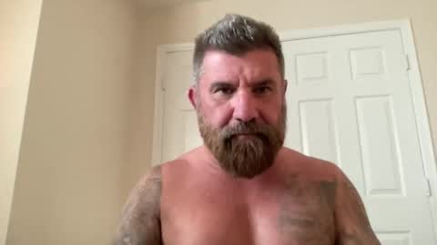 Snapshot of thatguybearded chatting on March 5, 2025, 10:43 pm ThatGuyBearded online show from March 5, 2025, 10:43 pm