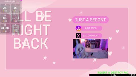 i am Cat  online show from January 13, 2025, 9:52 pm