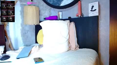 Snapshot of the_dog_lian chatting on November 9, 2025, 2:21 am the dog lian online show from November 9, 2025, 2:21 am