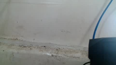 Snapshot of the_girl_in_the_street chatting on July 15, 2026, 8:30 am marj online show from July 15, 2026, 8:30 am