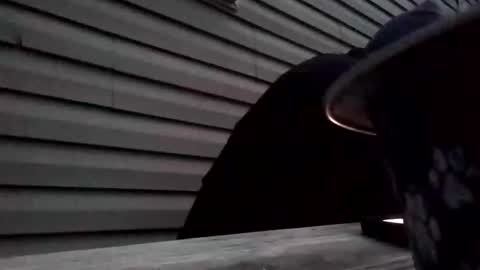 Snapshot of the_invincible_1 chatting on November 2, 2025, 11:45 am the_invincible_1 online show from November 2, 2025, 11:45 am