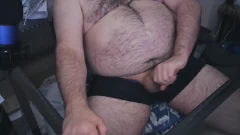 The Bear King online show from January 23, 2025, 5:56 am