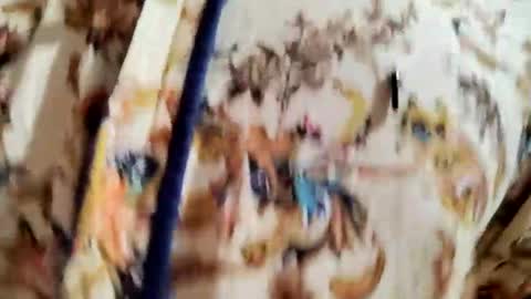 thehousedog online show from December 25, 2024, 3:17 pm
