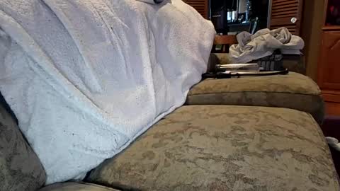 theicecreamguru online show from October 8, 2025, 7:55 pm