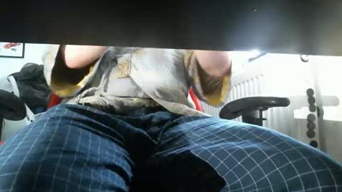 thelittleteaser online show from April 20, 2026, 2:42 pm