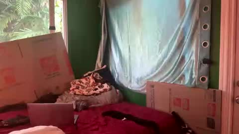 theonlyboi43ver online show from November 13, 2025, 8:08 pm