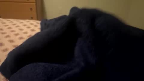 theplummer99 online show from December 4, 2025, 9:29 am