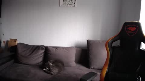 Nick   online show from November 23, 2025, 8:47 am