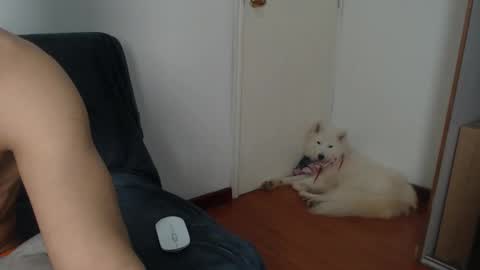 thesaint_xxx online show from November 8, 2025, 8:07 pm