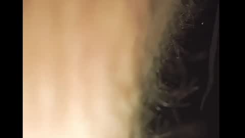 TheSexorcis online show from February 25, 2025, 12:58 am