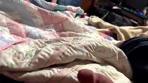 thickdic44 online show from February 12, 2025, 6:40 pm