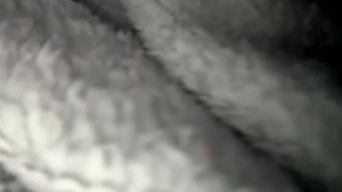 Snapshot of thickuncut7148704 chatting on February 7, 2025, 9:16 am thickuncut7148704 online show from February 7, 2025, 9:16 am