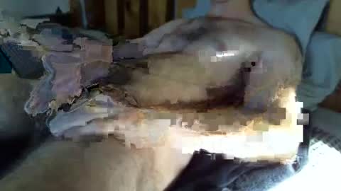 throbmasterr online show from December 19, 2025, 8:16 pm