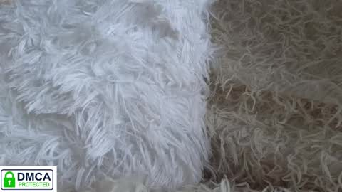 tia_j online show from January 16, 2025, 11:58 am