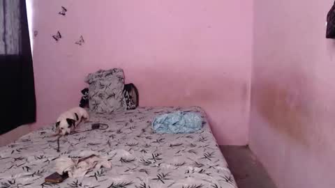 Tiana online show from November 6, 2025, 9:37 pm