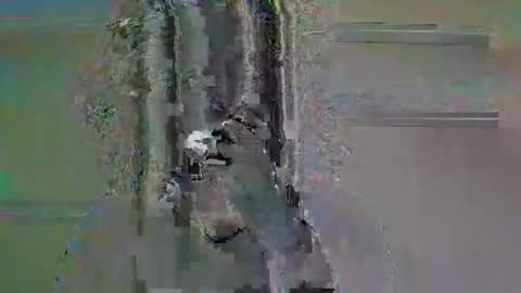 tifa_lockheart online show from April 11, 2026, 11:03 am