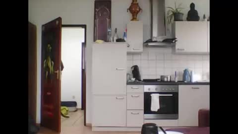 tigertrance online show from March 11, 2025, 11:44 am