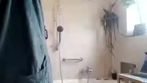 Snapshot of tigertrance chatting on November 11, 2025, 10:26 am tigertrance online show from November 11, 2025, 10:26 am