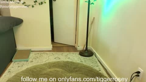 Snapshot of tiggerrosey chatting on April 21, 2026, 6:01 pm All my Links online show from April 21, 2026, 6:01 pm