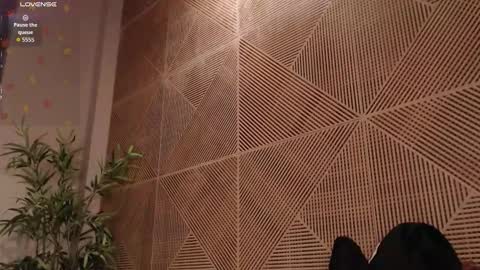 Tim Fox online show from February 17, 2026, 12:01 pm