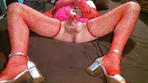 tinnavogler online show from January 29, 2025, 10:32 pm