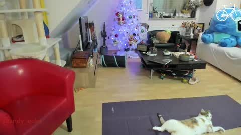 Tiny online show from December 3, 2025, 4:31 am