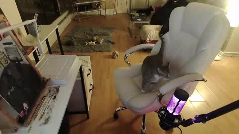 stage Kylie Sinner  brand CLITBAIT online show from January 30, 2025, 8:32 am