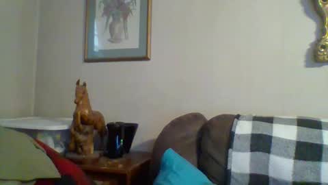 Vols online show from November 12, 2025, 9:58 pm