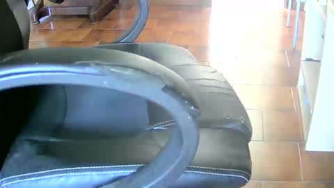 Tobiko online show from April 26, 2026, 2:26 pm