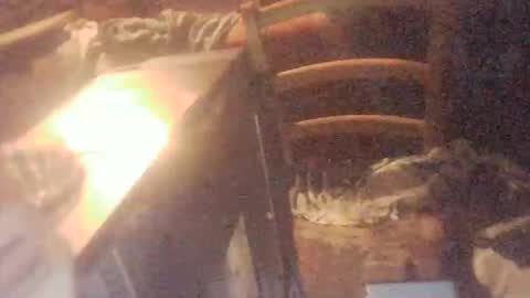 Snapshot of tobimcfly723 chatting on April 16, 2026, 11:29 pm tobimcfly723 online show from April 16, 2026, 11:29 pm
