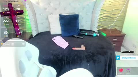 toky         online show from February 4, 2025, 9:20 pm