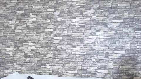 Tokyo online show from February 2, 2026, 6:06 pm